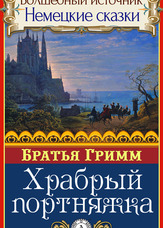Чарівне джерело. Німецькі казки. Хоробрий кравець