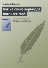 Як на спині верблюда з'явився горб